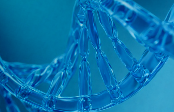 Семаглутид: что это такое и как он работает на самом деле